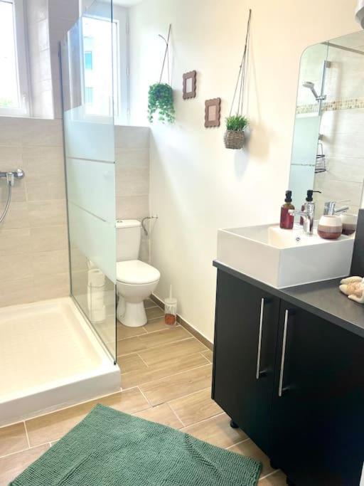 Logement Cosy Et Jardin Saint-Laurent-en-Royans ภายนอก รูปภาพ